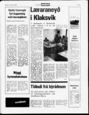 Síða 3