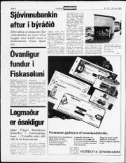 Síða 4