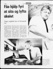 Síða 8