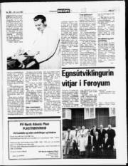 Síða 11