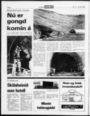 Síða 2