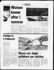 Síða 3