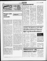 Síða 6