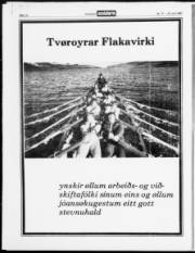 Síða 14