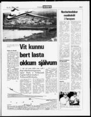 Síða 3