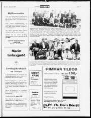 Síða 11