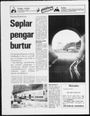 Síða 16