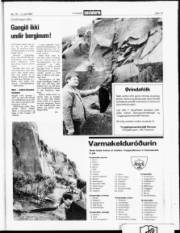 Síða 13