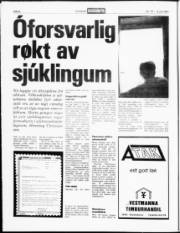 Síða 8