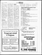 Síða 17