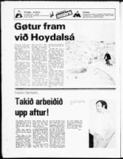 Síða 24