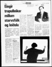 Síða 2