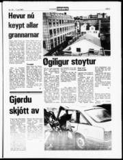 Síða 5