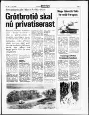 Síða 3