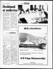 Síða 11