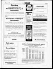Síða 13