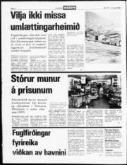Síða 2