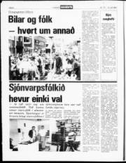 Síða 8