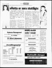 Síða 17