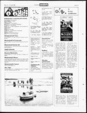 Síða 19