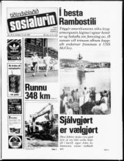 Síða 1