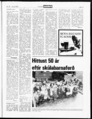 Síða 13