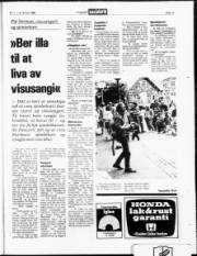 Síða 17