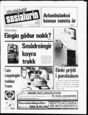 Síða 1