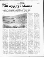 Síða 13