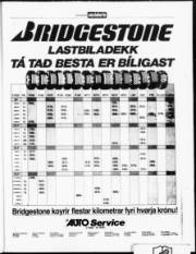 Síða 21