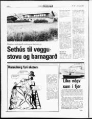 Síða 2