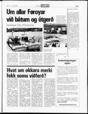 Síða 3