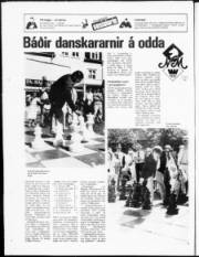 Síða 16