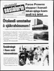 Síða 1
