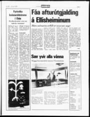 Síða 3