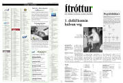 Síða 17