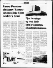 Síða 5