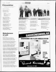 Síða 11