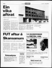 Síða 2
