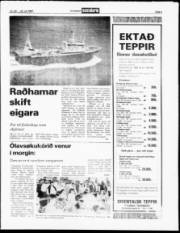 Síða 5