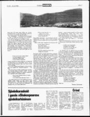 Síða 11