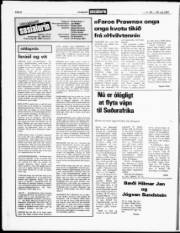 Síða 6