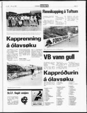 Síða 11