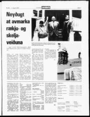 Síða 3