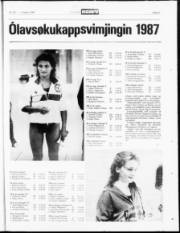 Síða 21