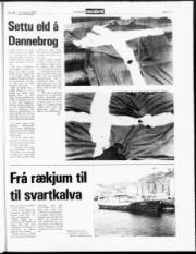Síða 11
