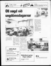 Síða 16