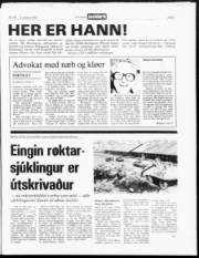 Síða 3