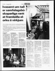 Síða 17