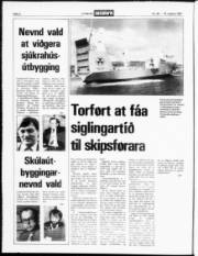 Síða 2